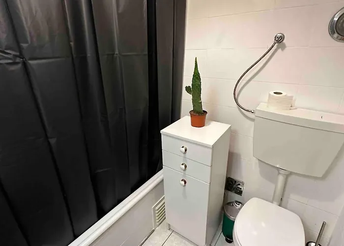 Venha Sentir Essa Experiencia